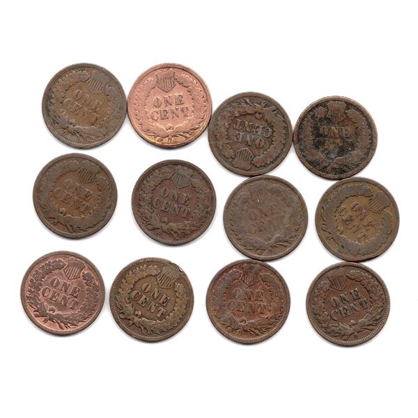 U.S. Indian Head Cent Collection 1880–1898 – 12 Different Dates, U.S. Buffalo Nick