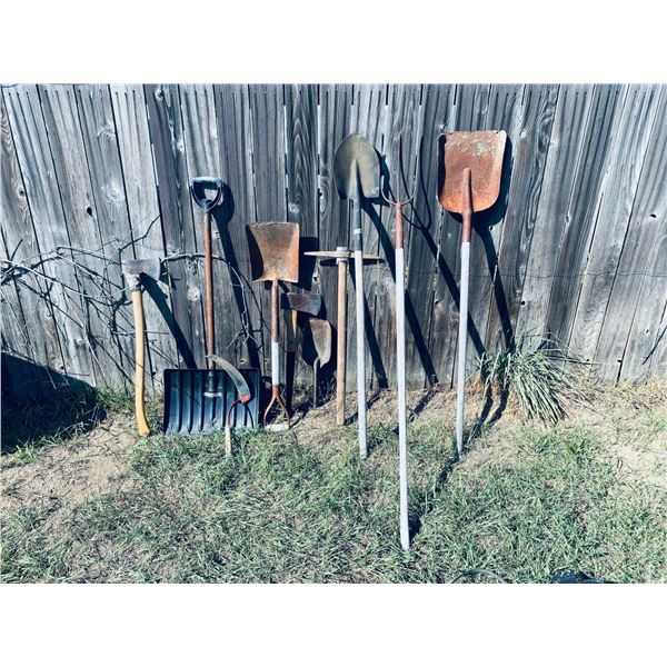 Assorted Long-Handled Garden Tools and Axes