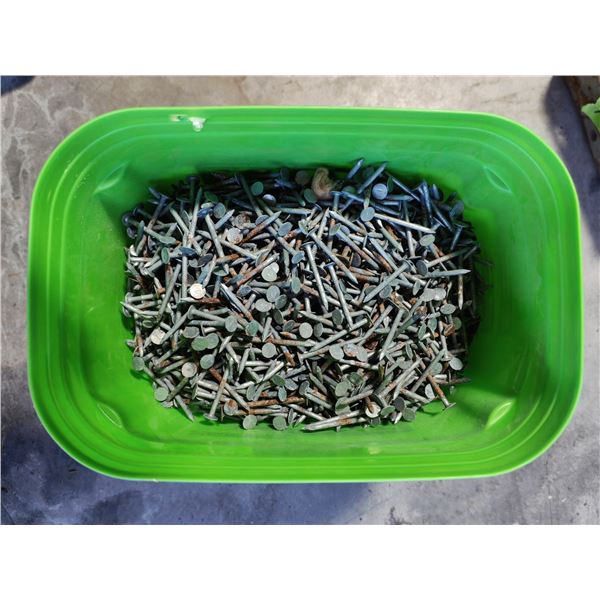 Pail of Galvanized Large-Head Roofing Nails