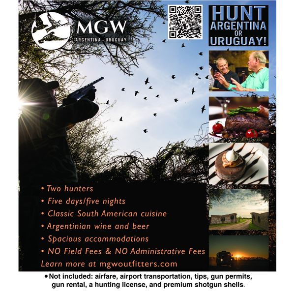 South America Dove Hunt for 2