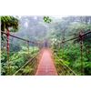 Image 1 : 5 Nights in Costa Rica for 2