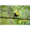 Image 2 : 5 Nights in Costa Rica for 2