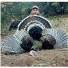 Image 3 : Gould's Turkey Hunt for 2 Sweepstakes