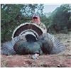 Image 4 : Gould's Turkey Hunt for 2 Sweepstakes