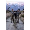 Image 5 : New Zealand Turkey Hunt Sweepstakes with Shane Profitt