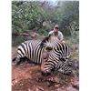 Image 3 : 9 Day African Safari for 4
