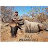 Image 4 : 9 Day African Safari for 4