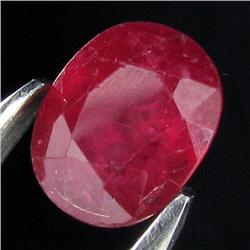 3.3ct Top Afghan Red Ruby Appraised $11k (GEM-17494)