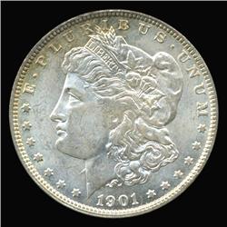 1901O Morgan Dollar Choice Unc Nicely Toned (COI-5027)