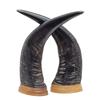 Image 1 : Rare Large Water Buffalo Horn Pair  (CLB-361)