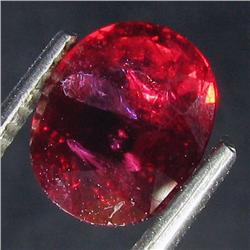 2.3ct Natural Burma Cherry Red Ruby Appraised $7k (GEM-17690)