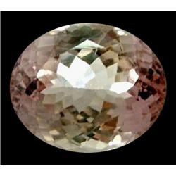 16.50ct Natural Top If Best Sweet Pink Colour Kunzite Appraisal Estimate $6600 (GEM-19123)