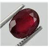 Image 1 : 3ct Ruby Oval Red Afghanastan (GEM-18217)
