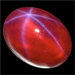 6.6ct Hot Orange Stunning 6 Rays Diffusion Star Sapphire  (GEM-23302)