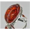 ct Baltic Amber White Gold Vermeil Ring (JEW-1784)