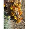Image 3 : Autumn Scarecrow Yard Decorations Set