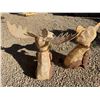 Image 3 : Lit Burlap Fox and Moose Holiday Decor Pair