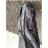 Image 6 : Bone Collector Camouflage Hunting Blind