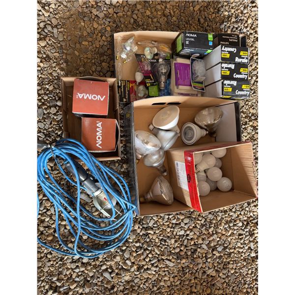 Light Bulbs and Work Light with Cord