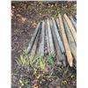 Image 3 : Approx. 60 Wooden Defense Posts, Great Condition
