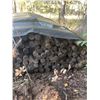 Image 1 : Approx. 200 8'x2.5" Wooden Landscaping Dowels