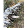 Image 3 : Stack of 50-70 Pointed Wood Fence Posts