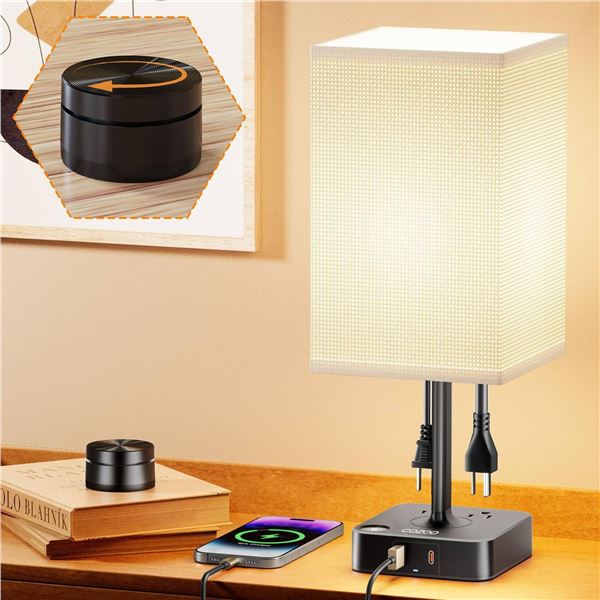 Ozloo USB Table Lamp with Dual USB Ports