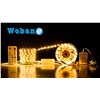 Image 1 : Wobane LED Strip Light Kit 32.8ft 6000K 22W