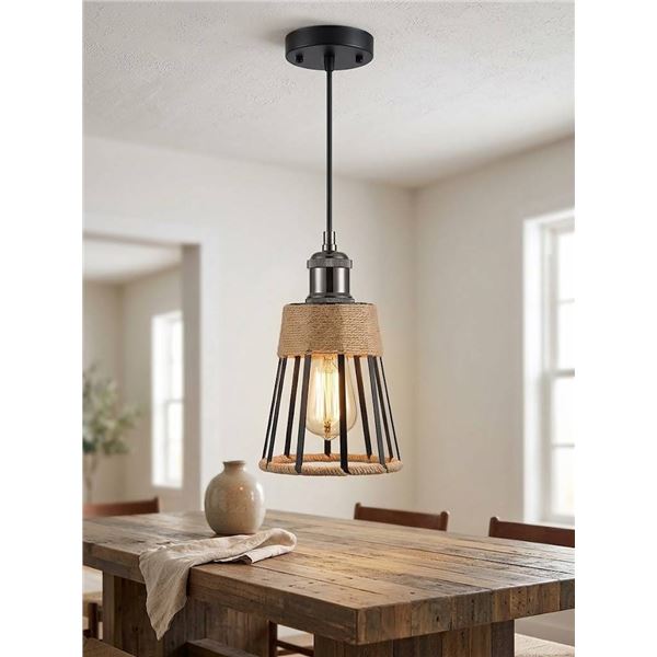Plug-In Metal Hanging Pendant Light Fixture