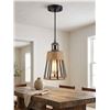 Image 1 : Plug-In Metal Hanging Pendant Light Fixture