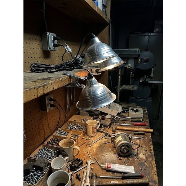 Deluxe Clamp Light Set of 2, 6ft Cord, 120V