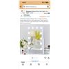 Image 4 : FENCHILIN Hollywood Makeup Mirror 12-Bulb