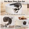 Image 1 : South Paw Multifunctional Cat Bed Tunnel