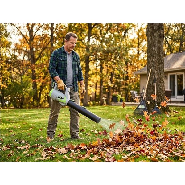 20V Cordless Leaf Blower Lithium-Ion