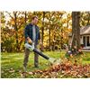 Image 1 : 20V Cordless Leaf Blower Lithium-Ion