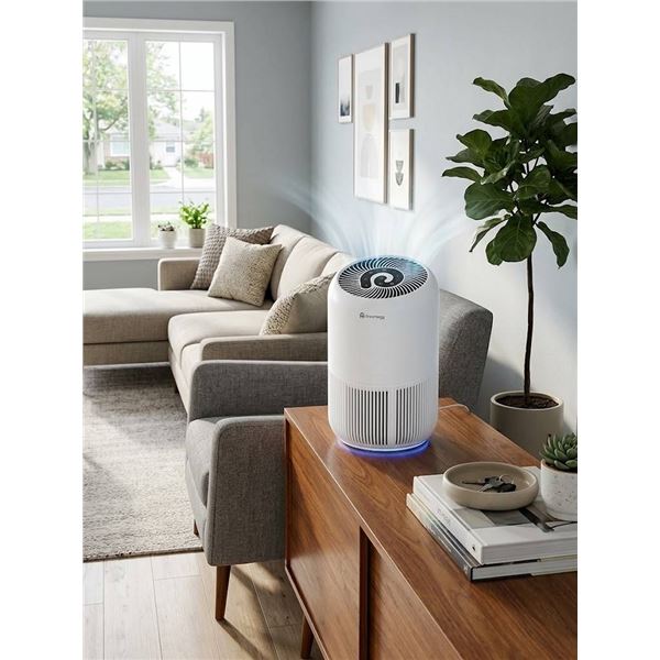 Dreamegg True HEPA Air Purifier