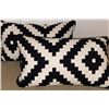 Image 5 : Five Black and White Throw Pillows, Large and Small, Geometric and Chevron Patterns