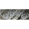 Image 7 : Cut Glassware Including Bowls, Trays, Tumblers, and Stemware, 13 Pieces