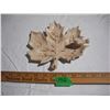 Image 1 : Cast Iron Maple Leaf Dish, 7”