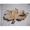Image 2 : Cast Iron Maple Leaf Dish, 7”