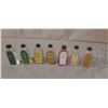 Image 1 : Collection of vintage glass bottles, mostly labeled as W.T. Rawleigh Company extract and flavoring b