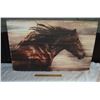 Image 1 : Horse Picture