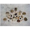 Image 1 : Assorted Rocks/Stones