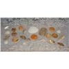 Image 1 : Lot Of Pretty Shells