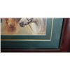 Image 2 : Horse Picture