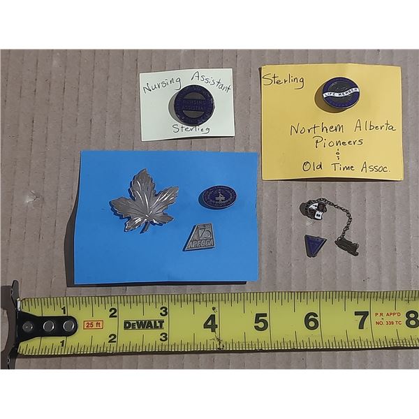 Lot of sterling silver lapel pins (7)