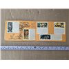 Image 2 : Red rose tea booklet african animals- full