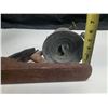 Image 6 : 1205-Antique kerosene Blowtorch and Planer