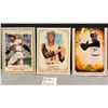 Image 1 : Roberto Clemente Baseball HOF 3-Card Lot