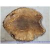 Image 2 : Beaver pelt- 2ft by 2ft
